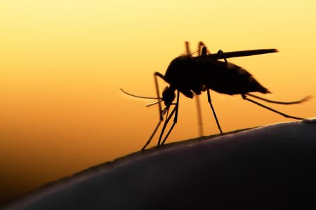 Texas’ first confirmed West Nile virus case of 2026 is in Harris County